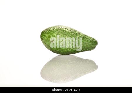 Eine ganze ovale dunkelgrün reif leckere Diät Avocado, auf einem weißen Hintergrund. Stockfoto