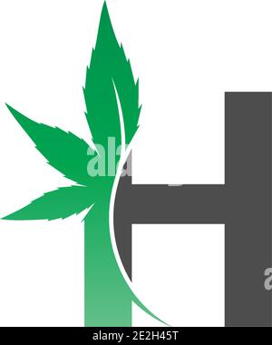 Buchstabe H Logo Symbol mit Cannabis Blatt Design Vektor Illustration Stock Vektor