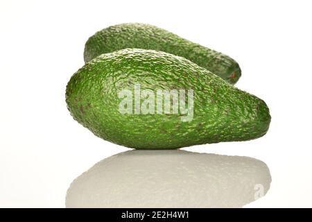Zwei ganze ovale dunkelgrüne reife Bio-Diät Avocados, liegend einer nach dem anderen, im Fokus getaucht, auf einem weißen Hintergrund. Stockfoto