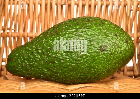 Eine ganze grüne reife Avocado auf einem Hintergrund von Weide Reben Stockfoto