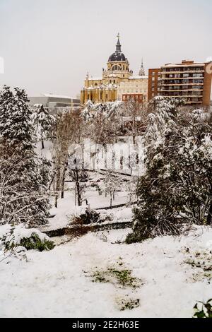 Die eingestürzten Bäume in den zentralen Straßen von Madrid, unter dem Gewicht des Schnees während des Sturms Filomena Stockfoto