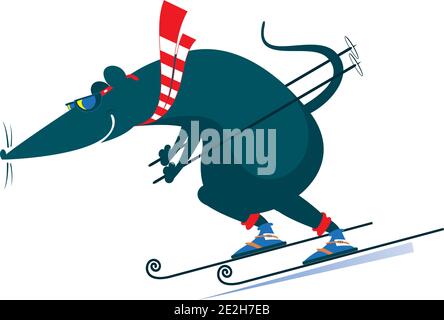 Downhill Skifahrer Ratte oder Maus Illustration. Ratte oder Maus ein Skifahrer isoliert auf weiß Stock Vektor