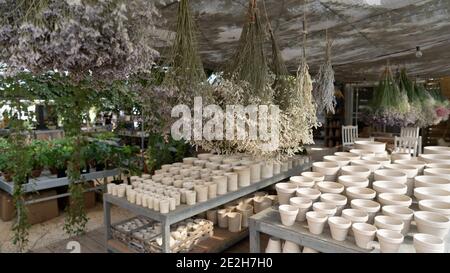 Blumensträuße von getrockneten Blumen hängen Stockfoto