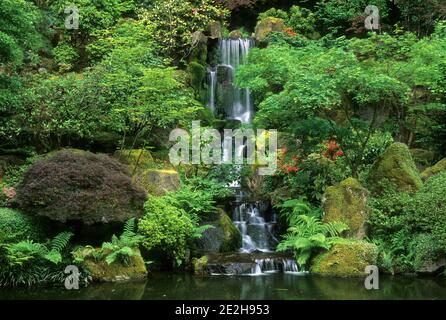 Heavenly Falls im Lower Pond, Portland Japanese Garden, Washington Park, Portland, Oregon Stockfoto