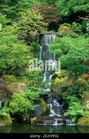 Heavenly Falls im Lower Pond, Portland Japanese Garden, Washington Park, Portland, Oregon Stockfoto