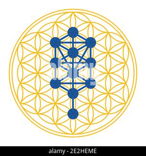 Baum des Lebens Symbol abgeleitet aus dem Baum des Lebens. Diagramm, verwendet in mystischen Traditionen wie Hermetic Qabalah, über Symbol der überlappenden Kreise. Stockfoto