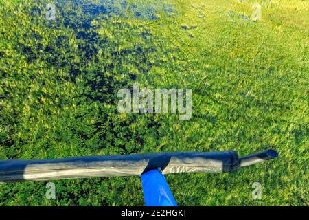 Hubschrauberlandeplatz oben im Flug über dem Okavango Delta, Botswana, Afrika. Stockfoto