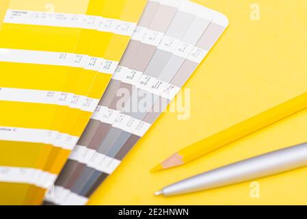 Farbpalette mit Farbe des Jahres 2021 - leuchtendes Gelb und neutrales Grau, Layout, Farbschablone Stockfoto