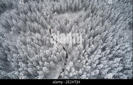 Gebogene Straße in gefrorenem Wald über oben Drohne Ansicht Stockfoto