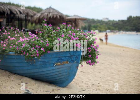 Kleines altes blaues Boot voller Blumen am Strand Stockfoto