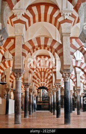 Moschee-Kathedrale von Córdoba: Säulen und zweistufige Bögen im Originalteil des Moscheegebäudes. Spanien Stockfoto