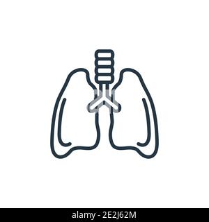 Vektorsymbol für den Umriss der Lunge. Dünne Linie schwarze Lunge Symbol, flache Vektor einfache Element Illustration aus editierbaren medizinischen Konzept isoliert auf weißem Backgro Stock Vektor