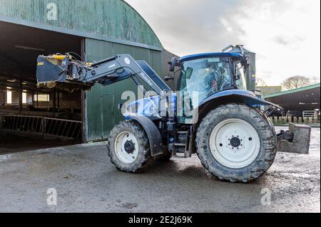 Timoleague, West Cork, Irland. Januar 2021. Charlie Dinneen, der Sohn des Timoleague Milchbauern John Dinneen, bringt Silage in Schuppen, in denen Kühe über den Winter untergebracht sind. Quelle: AG News/Alamy Live News Stockfoto