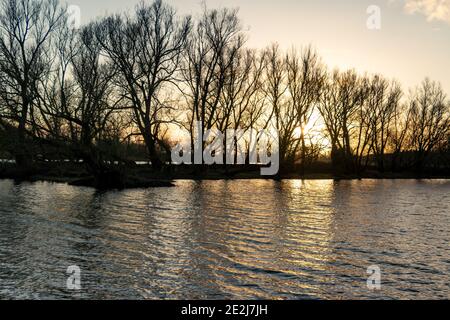 Winterlandschaft von untergehenden Sonne scheint durch die Bäume Am Wasser der Auen des Flusses IJssel Im Naturschutzgebiet in der Nähe von fortmond Stockfoto