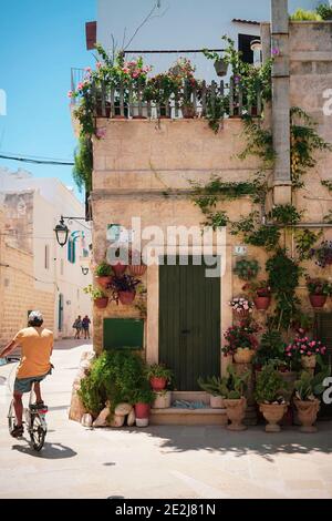 Blühend und typisches Haus im Sommer in Monopoli. Stockfoto