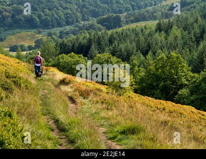 Frau, die auf dem Land am Foxlow Edge in der Oberen spazierengeht Goyt Valley in der Nähe des Errwood Reservoir im Peak District National Park Derbyshire England Großbritannien Stockfoto