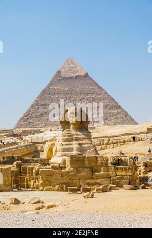 Die ikonische monumentale Skulptur, die große Sphinx von Gizeh mit der Pyramide von Khephren (Chephren) hinter, Giza Plateau, Kairo, Ägypten Stockfoto