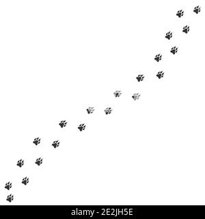 Wolf oder Hund Pfoten drucken. Wanderweg Spur des Tieres, Vektor-Illustration Stock Vektor
