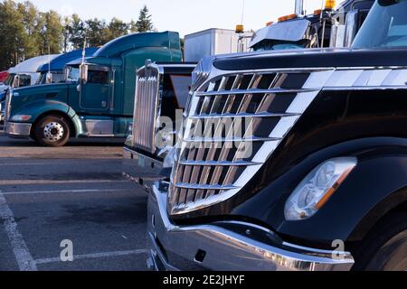 Rastplatz. Verschiedene Lkw-Typen auf dem Parkplatz neben der Autobahn. Stockfoto