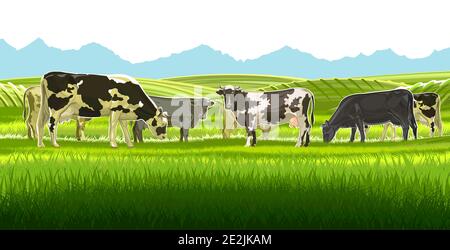 Eine Herde Kühe grast zwischen den ländlichen Hügeln. Weiden. Wiesen und Felder. Rustikale Dorflandschaft. Arbeit auf dem Bauernhof. Isoliert auf weißem Hintergrund. Vektor Stock Vektor