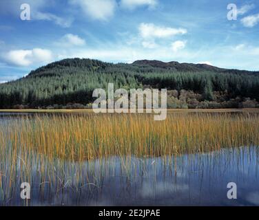 Vereinigtes Königreich. Schottland. Highlands. Wester Ross. Kyle von Lochalsh. Landschaft mit loch in der Nähe von Plockton. Stockfoto