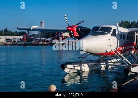 Männlich, Malediven, 20.11.2020. Trans Maldivian Airways Wasserflugzeug Twin Otter Series 400 an Wasserflugzeug Terminal angedockt. Stockfoto