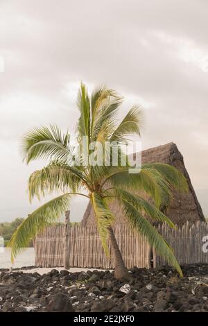 Hawaii USA Puuhonua o Honaunau war während des Krieges ein Zufluchtsort für Gesetzesbrecher, besiegte Krieger und Zivilisten. Stockfoto