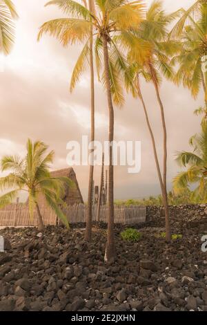 Hawaii USA Puuhonua o Honaunau war während des Krieges ein Zufluchtsort für Gesetzesbrecher, besiegte Krieger und Zivilisten. Stockfoto