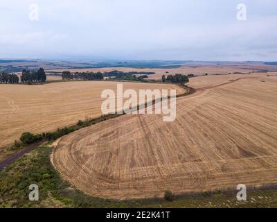 Drohne Luftaufnahme der BR 373 Straße und Bauernhof Feld mit Sojabohnen in ländlichen Bereich des Staates Paraná, Brasilien, am Sommertag kultiviert. Konzept der Landwirtschaft. Stockfoto