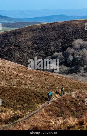 Eine Gruppe von Mountainbikern reiten auf einem Trail im Exmoor National Park. Stockfoto