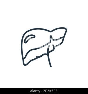 Symbol für den Vektor der Leberkontur. Dünne Linie schwarze Leber Symbol, flache Vektor einfache Element Illustration von editierbaren Gesundheit und medizinische Konzept isoliert auf wh Stock Vektor