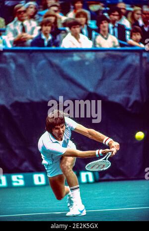 Jimmy Connors (USA) tritt bei den US Open Tennis Championships 1981 an. Stockfoto