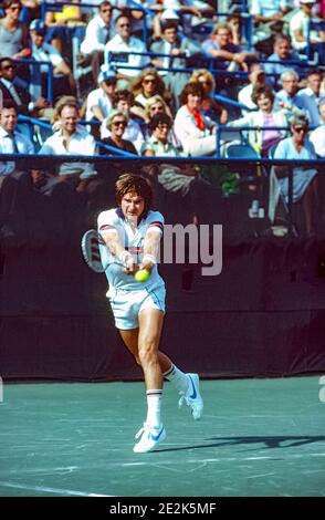 Jimmy Connors (USA) tritt bei den US Open Tennis Championships 1981 an. Stockfoto