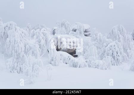 Bizarre Felsen und Bäume auf einem Hochplateau bedeckt Tiefer Schnee unter einem Winterhimmel Stockfoto