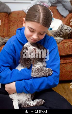 Junges Mädchen kuscheln bis zu ihrem neuen Spaniel Welpe Stockfoto