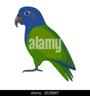 Blaukopfige Parrot-Ikone im flachen Stil. Exotischer tropischer Vogel Symbol auf weißem Hintergrund. Stock Vektor