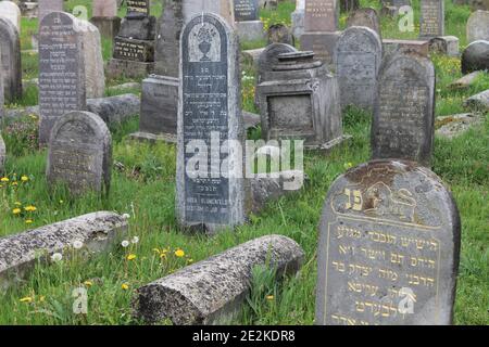 Historischer jüdischer Friedhof mit einer Vielzahl von restaurierten Grabsteinen in Bialystok (Polen) Stockfoto