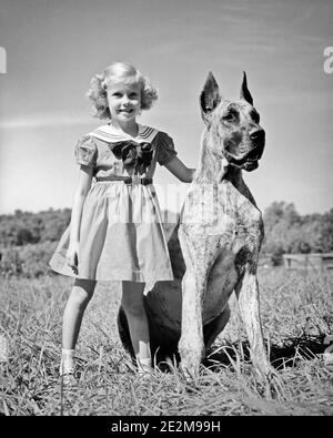 1950ER KLEINE BLONDE MÄDCHEN TRÄGT EIN KLEID STEHEN MIT GROSSEN BRINDLE MANTEL GROSSE DÄNE HUND IHRE HAND AUF SEINE RUHT ZURÜCK - D4223 HAR001 HARS BESTE GROSSE FREUDE LIFESTYLE-FRAUEN COPY SPACE FREUNDSCHAFT VOLLE LÄNGE HAUSTIERE VERTRAUEN DANE B & W RUHENDE GRÖSSE GLÜCK SÄUGETIERE SEIN SCHUTZ ECKZÄHNE UNTERSCHIED POOCH VERBINDUNG RASSE BEGLEITER FREUNDLICHE SANFTE RIESE BRINDLE HUNDE ZUSAMMENARBEIT WACHSTUM RIESIGE JUVENILES SÄUGETIER ZWEISAMKEIT GROSS UND KLEIN SCHWARZ UND WEISS KAUKASISCHE ETHNIE SANFT GREAT DANE HAR001 GROSS UND KLEIN ALTMODISCH Stockfoto