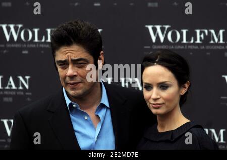 Die Schauspieler Benicio Del Toro und Emily Blunt posieren auf einer Fotozelle, um am 27. Januar 2010 in Rom, Italien, für den Film 'der Wolfman' zu werben. Foto von Eric Vandeville/ABACAPRESS.COM Stockfoto