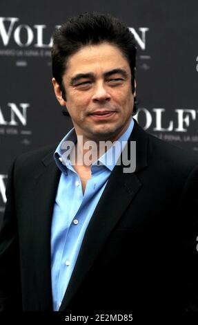 Schauspieler Benicio Del Toro posiert bei einer Fotoaufnahme, um am 27. Januar 2010 den Film "der Wolfman" in Rom, Italien, zu promoten. Foto von Eric Vandeville/ABACAPRESS.COM Stockfoto