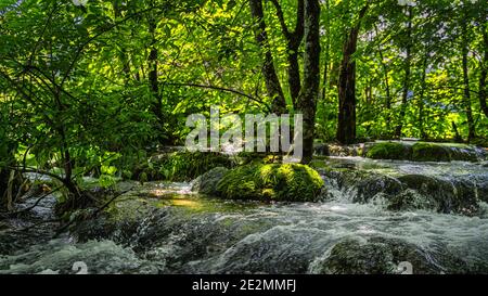 Selektiver Fokus auf Felsen, bedeckt von Moos und beleuchtet von Sonnenlicht, in einem Bach. Plitvicer Seen, Nationalpark UNESCO Weltkulturerbe, Kroatien Stockfoto