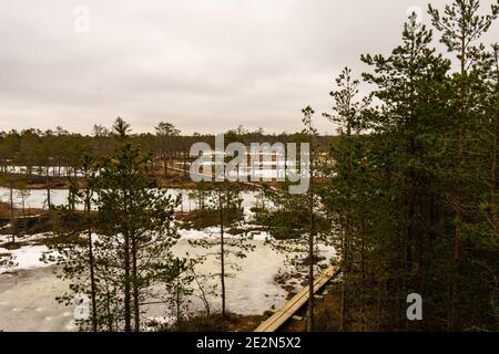 Viru raba (Viru Moor) in Estland im Lahemaa Nationalpark mit einer Promenade mit einem Aussichtsturm in der Mitte. Im Winter festgehalten. Stockfoto