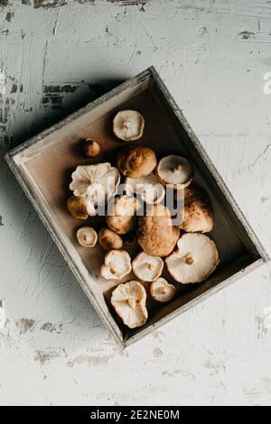 Frisch gesammelte braune Shiitake-Pilze auf einer rustikalen Holzkiste. Hoher Winkel Stockfoto