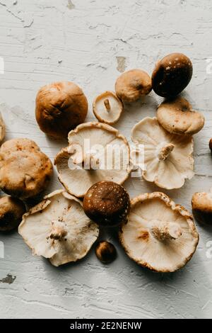 Der hohe Winkel der frisch gesammelten braunen Shiitake-Pilze auf a Rustikaler weißer Tisch Stockfoto