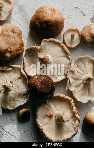 Nahaufnahme von frisch gesammelten braunen Shiitake-Pilzen auf einem rustikalen weißen Tisch. Stockfoto