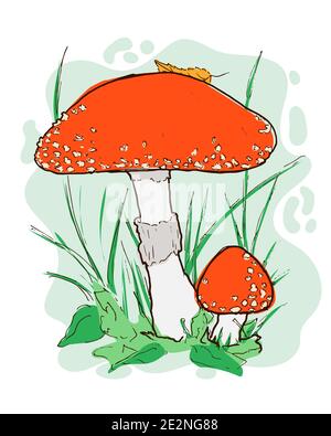 Fly agaric handgezeichnete Illustration im Cartoon-Stil. Isolierter Amanita muscaria Pilz im Wald. Aufkleber Element mit weißem Hintergrund für den Herbst Stock Vektor