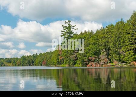 Sonniger Tag auf einem North Woods Lake in Sylvania Wildnis in Michigan Stockfoto