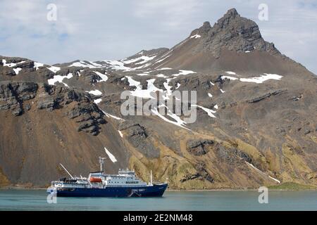 Holländisches Kreuzfahrtschiff Plancius in Grytviken, Südgeorgien 8. Dezember 2015 Stockfoto