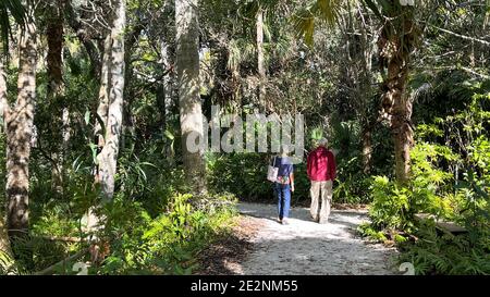 Vero Beach, FL USA - 8. Januar 2021: Ein Seniorenpaar, das auf einem tropischen Felsweg in den McKee Botanical Gardens in Vero Beach, Florida, geht. Stockfoto