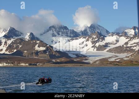 Zodiac-Schiffsladung von Ökotouristen in Richtung St Andrews Bay, mit Gletscher- und Königspinguinkolonie, South Georgia Island, 8. Dezember 2015 Stockfoto